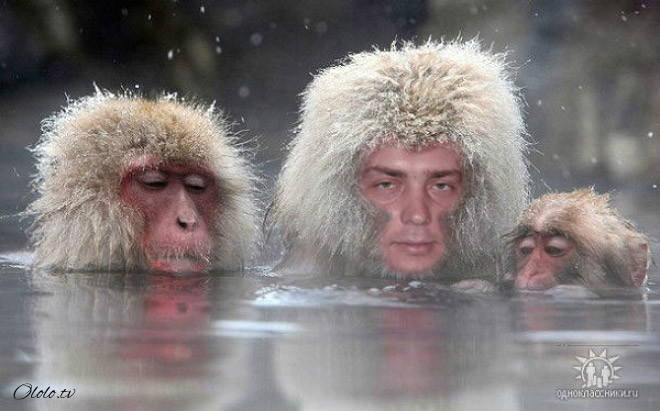 Российский фотошоп — самый суровый фотошоп в мире рис 5