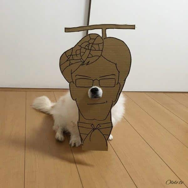 Девушка делает уморительные костюмы из картона для своей собаки рис 15
