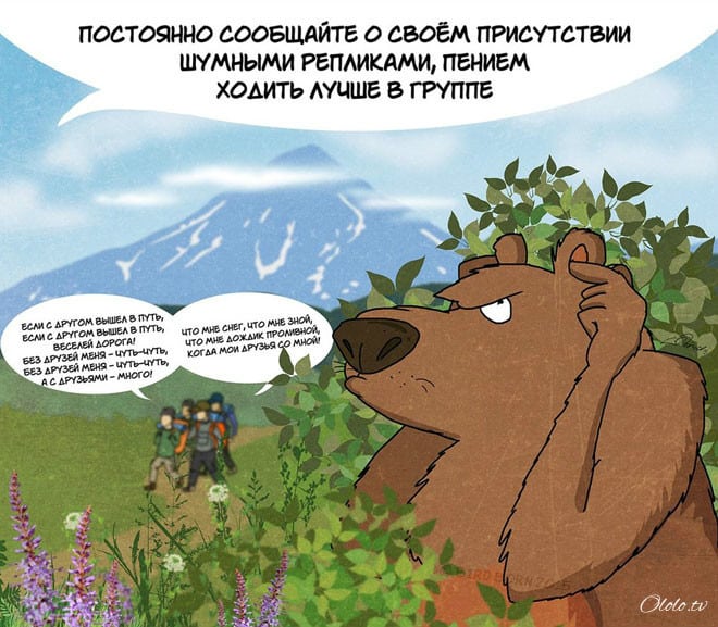10 забавных, но правдивых комиксов, о правилах поведения с медведями рис 8