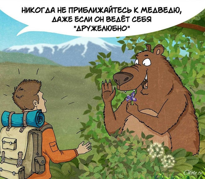 10 забавных, но правдивых комиксов, о правилах поведения с медведями рис 10