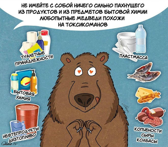 10 забавных, но правдивых комиксов, о правилах поведения с медведями рис 6