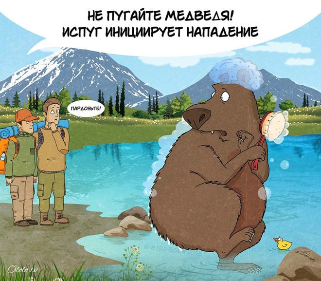 10 забавных, но правдивых комиксов, о правилах поведения с медведями рис 9