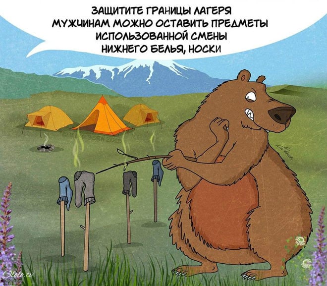 10 забавных, но правдивых комиксов, о правилах поведения с медведями рис 5