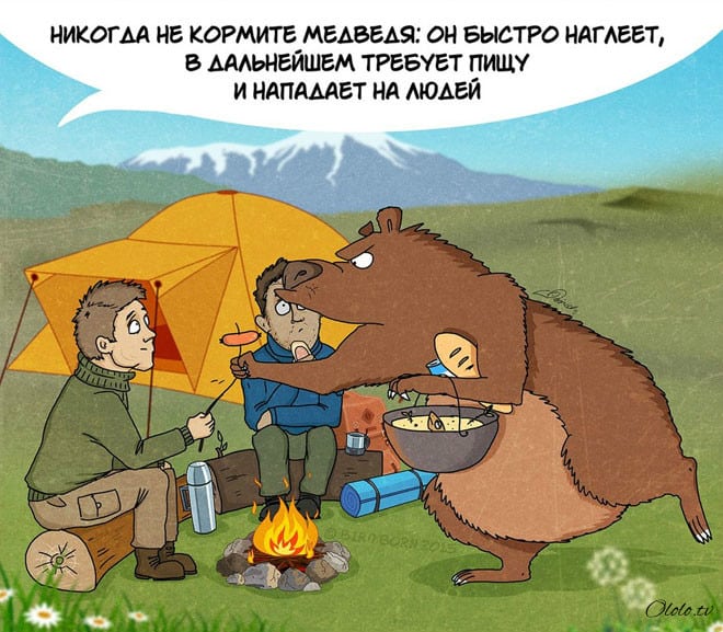 10 забавных, но правдивых комиксов, о правилах поведения с медведями рис 3