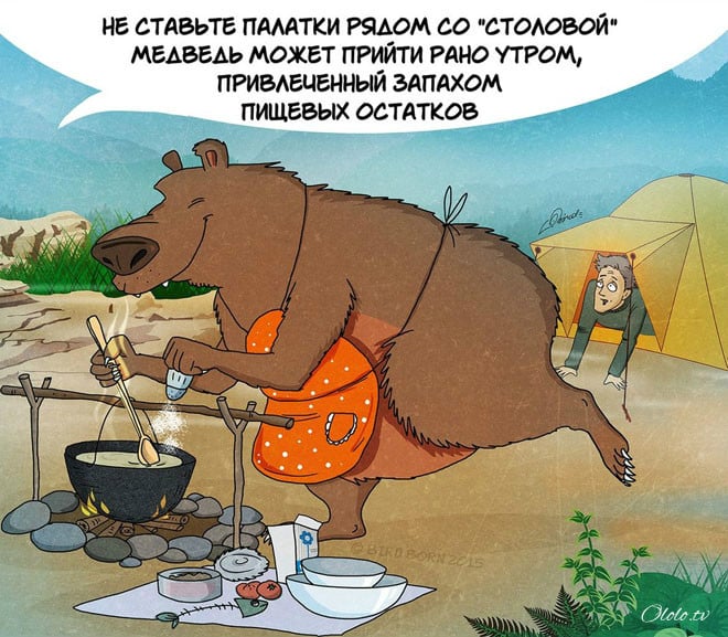 10 забавных, но правдивых комиксов, о правилах поведения с медведями рис 2