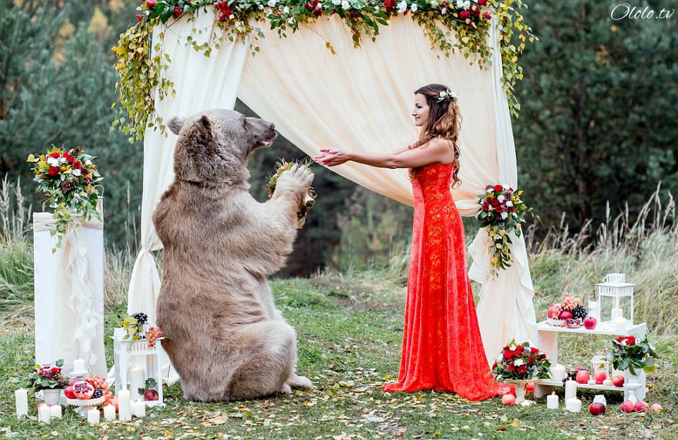 Свадьба по-русски: медведь благословляет жениха и невесту рис 9