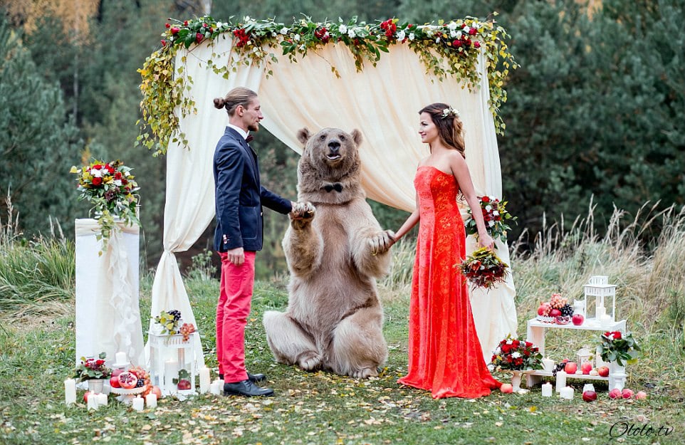 Свадьба по-русски: медведь благословляет жениха и невесту