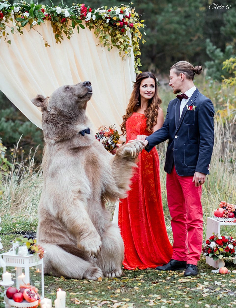 Свадьба по-русски: медведь благословляет жениха и невесту рис 11