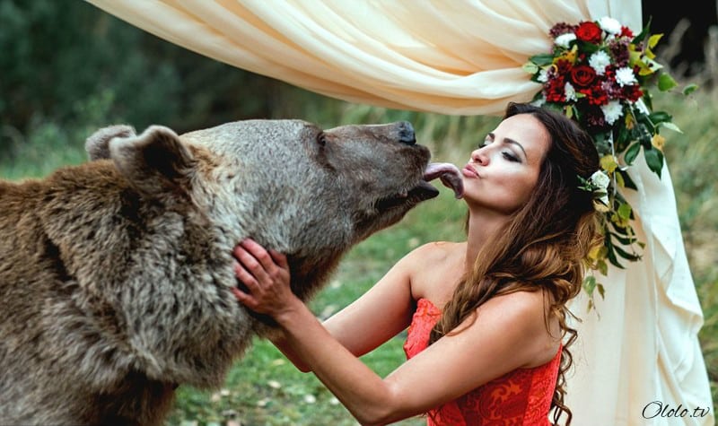 Свадьба по-русски: медведь благословляет жениха и невесту рис 2