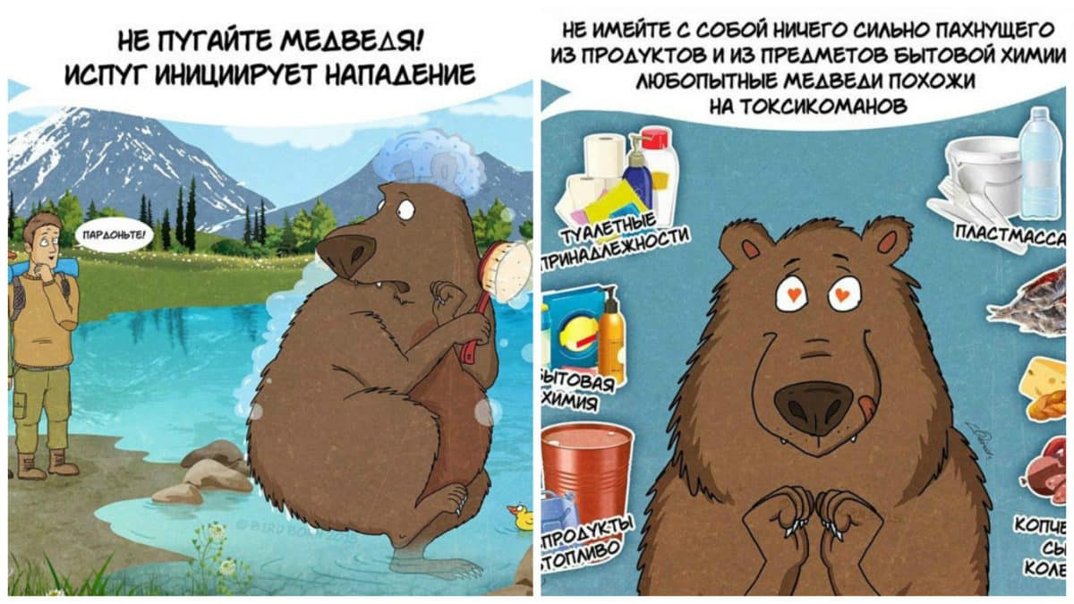 10 забавных, но правдивых комиксов, о правилах поведения с медведями