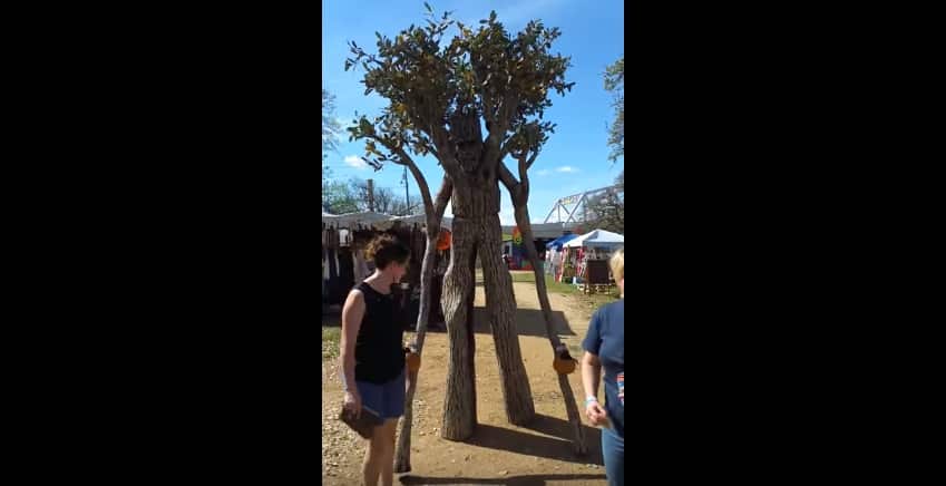 Мужчина соорудил себе крутой костюм дерева для фестиваля и стал похож на энта из «Властелина колец»!