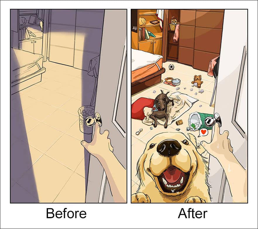 Ваша жизнь до и после появления собаки в картинках