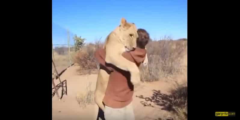 Животные обнимаются с людьми. Видео