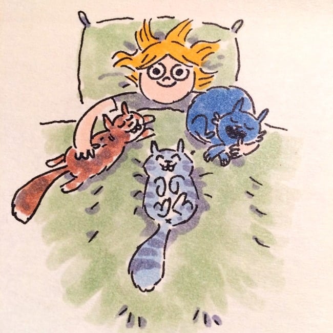 19 иллюстраций о жизни с котом, как она есть рис 19