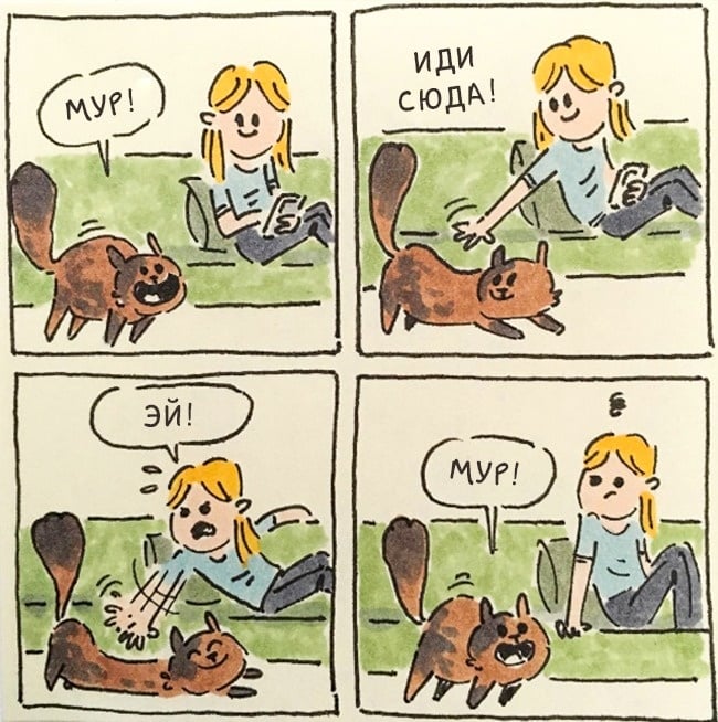19 иллюстраций о жизни с котом, как она есть рис 16