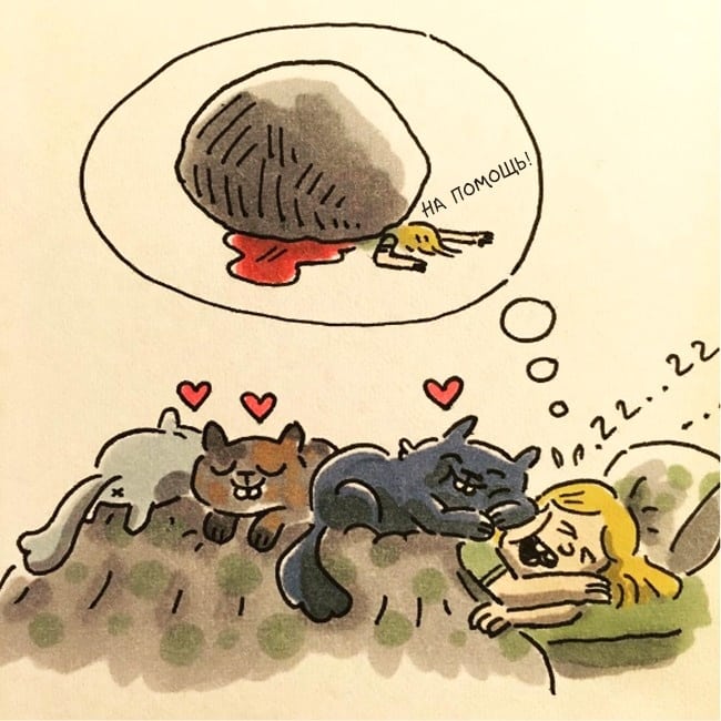 19 иллюстраций о жизни с котом, как она есть рис 11