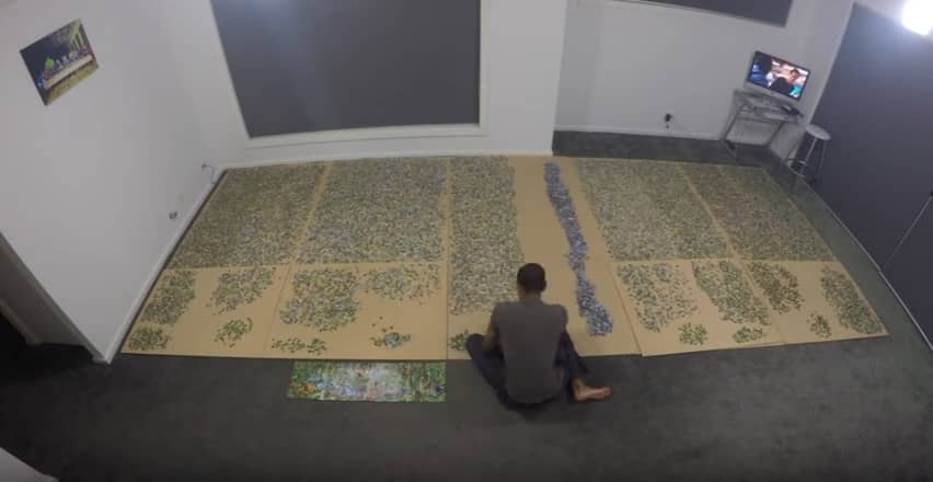 Сборка пазла, состоящего из 33 600 фрагментов. Видео