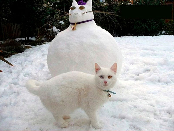 Фотоподборка самых красивых и будоражащих сознание снеговиков. рис 39