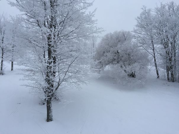 Фотоподборка самых красивых и будоражащих сознание снеговиков. рис 66
