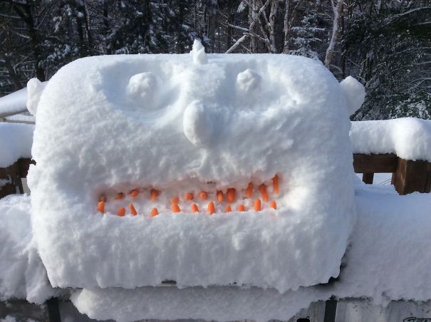 Фотоподборка самых красивых и будоражащих сознание снеговиков. рис 72