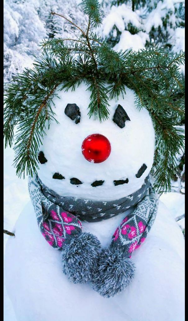 Фотоподборка самых красивых и будоражащих сознание снеговиков. рис 83