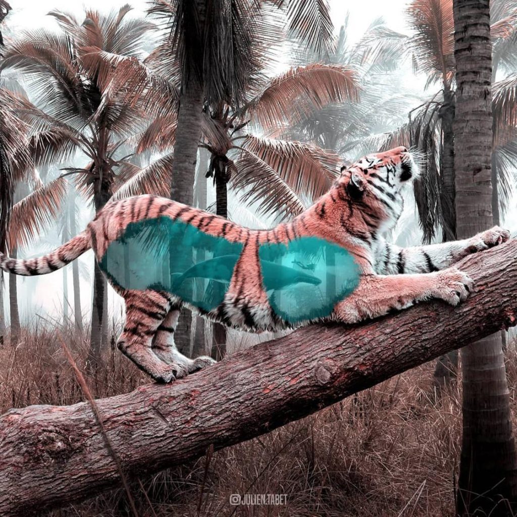 15 удивительных животных, созданных воображением невероятно талантливого художника! рис 14