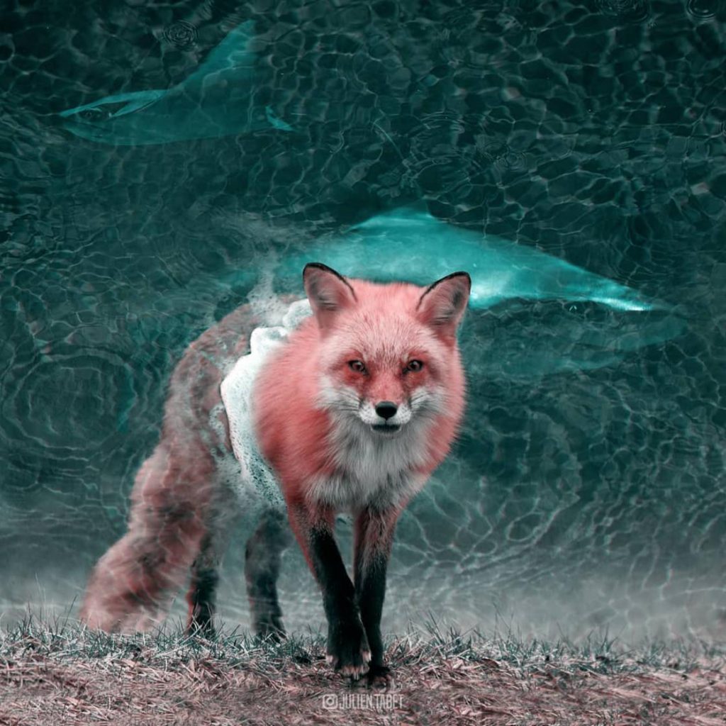 15 удивительных животных, созданных воображением невероятно талантливого художника! рис 4