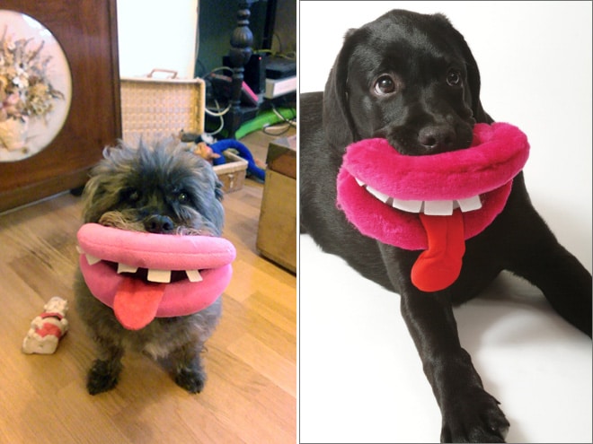 15 смешных игрушек для собак, которые сделают их неотразимыми! рис 6