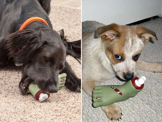 15 смешных игрушек для собак, которые сделают их неотразимыми!