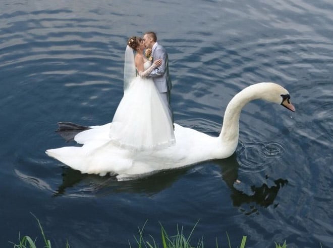 20+ беспощадных свадебных фото, которые могли быть сделаны только в России! рис 23