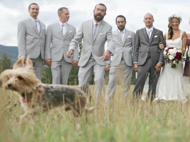 20 случайно испорченных снимков со свадьбы, ставших настоящей фотобомбой! рис 18