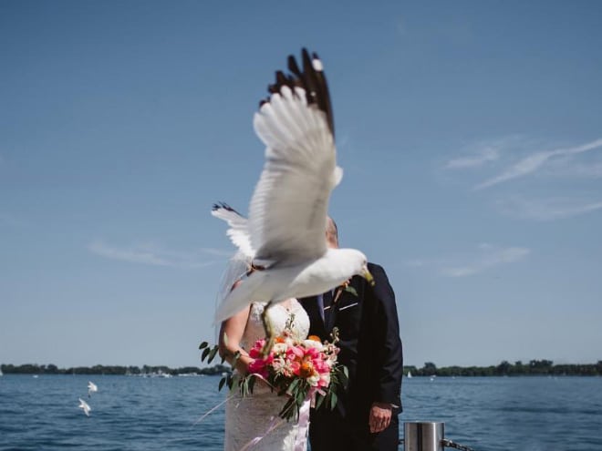 20 случайно испорченных снимков со свадьбы, ставших настоящей фотобомбой! рис 16