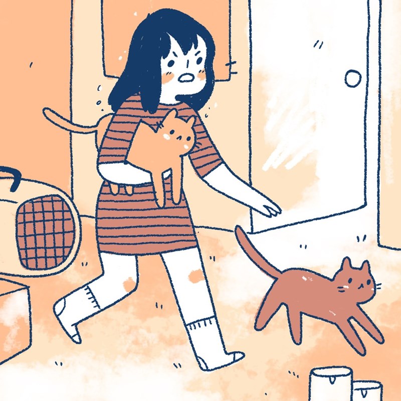 14 комиксов, который поймет каждый, у кого есть кот! рис 7