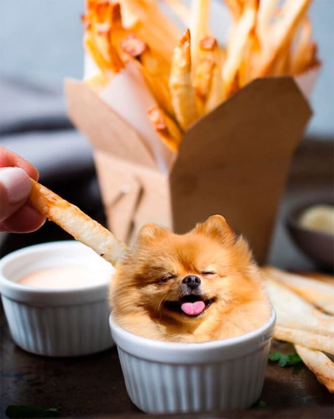 Найди собаку! 20 ярких фото еды с "сюрпризом"