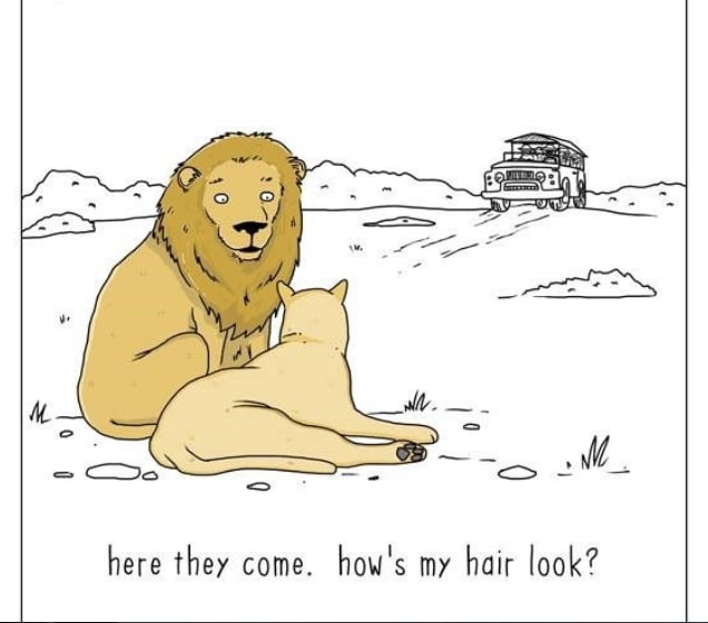 20 комиксов о том, что бы сказали животные, если бы они могли говорить!