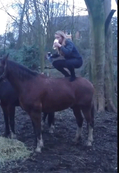 девушка стоит на лошади gif