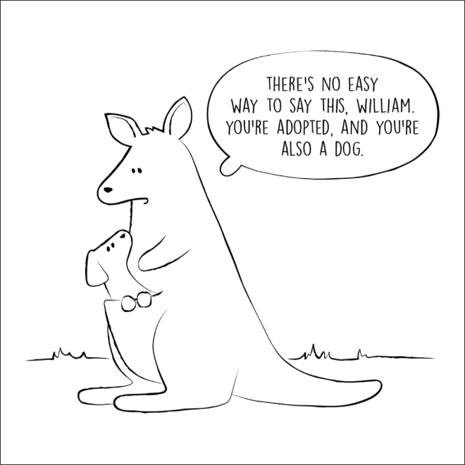 кенгуру и собака
