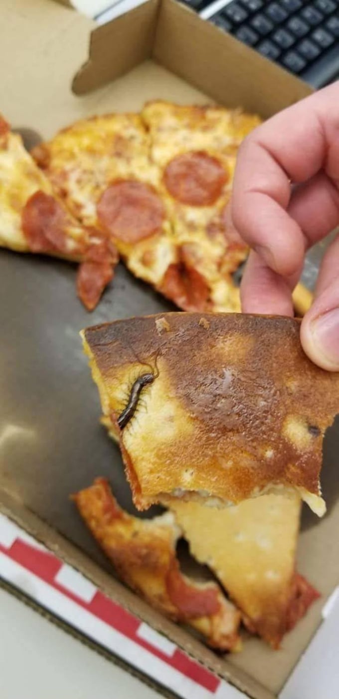 страшное на фото - сколопендра в пицце