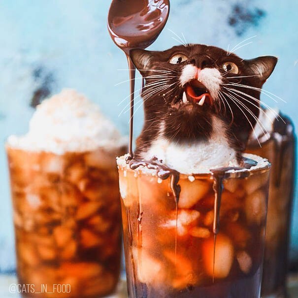 Двойное удовольствие! Девушка из России с помощью фотошопа делает смешные картинки с едой и котами рис 3