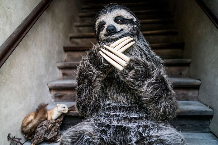Невероятно красивый и реалистичный костюм ленивца, сделанный своими руками рис 8