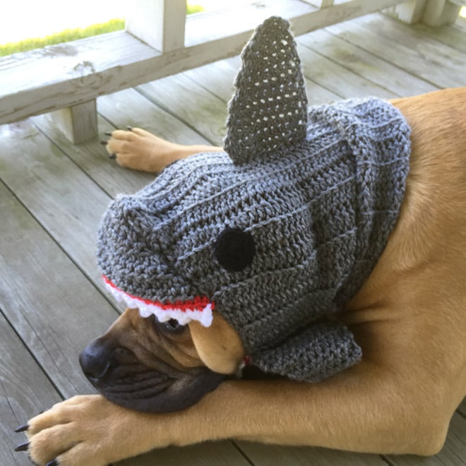 шапка в виде акулы