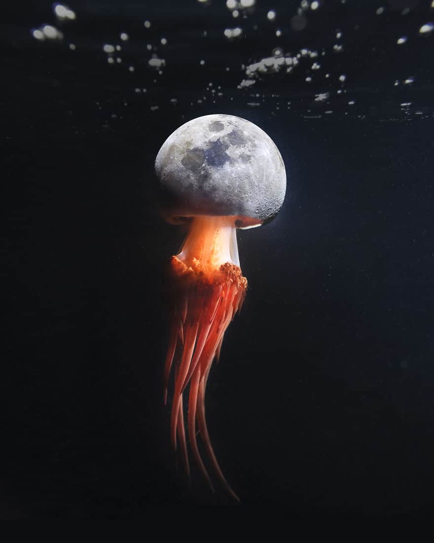 медуза иллюзия