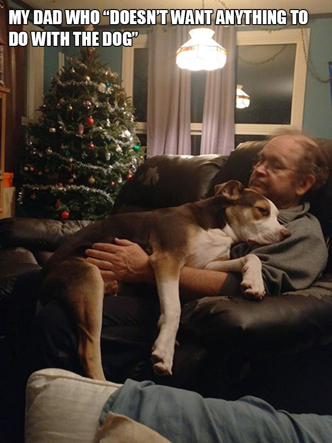мужчина на диване с собакой