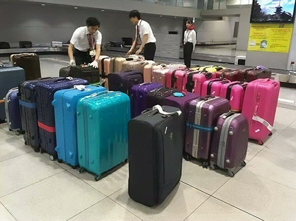 чемоданы