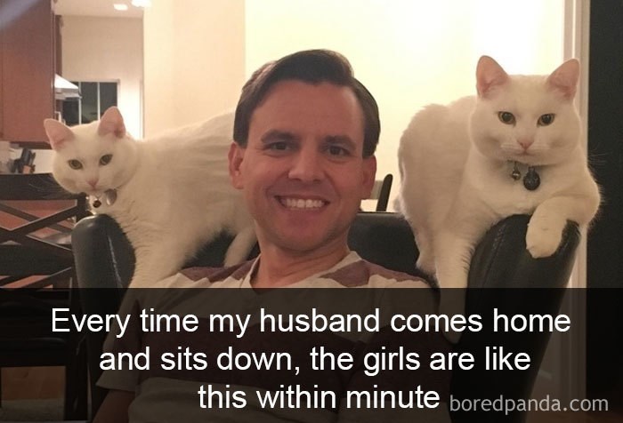 мужчина с кошками