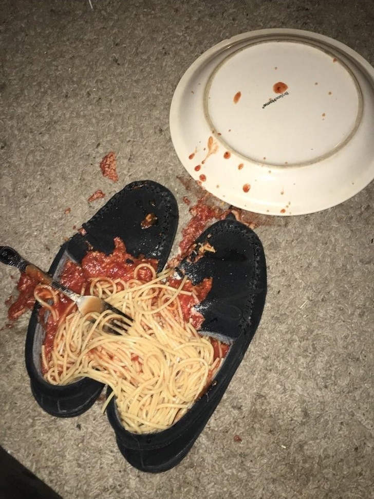 тарелка с едой упала на пол