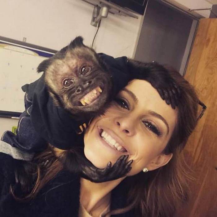 девушка и обезьяна