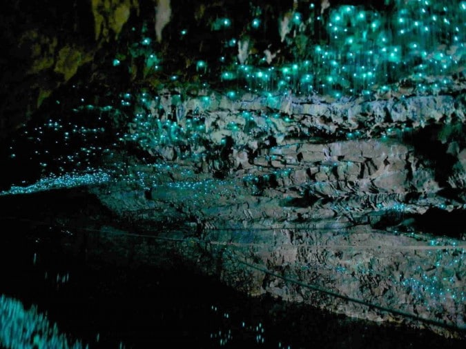 Новозеландские пещеры Вайтомо