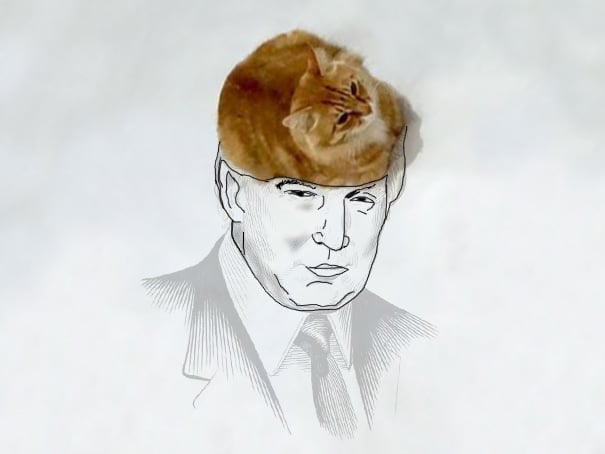 дональд трамп рисунок