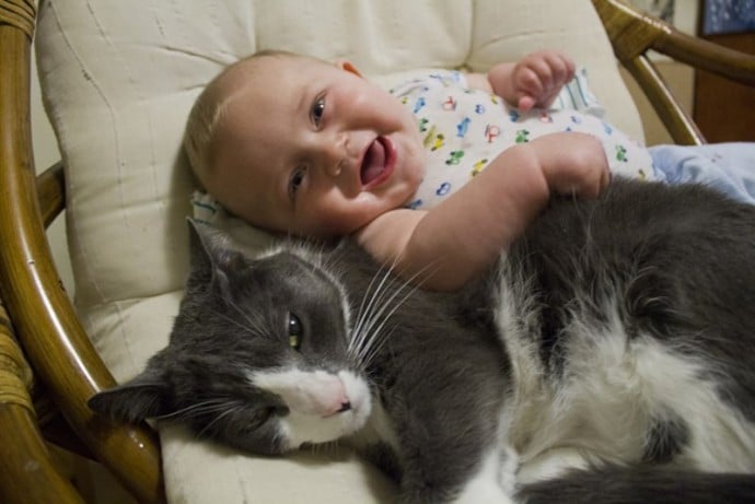 малыш и кошка